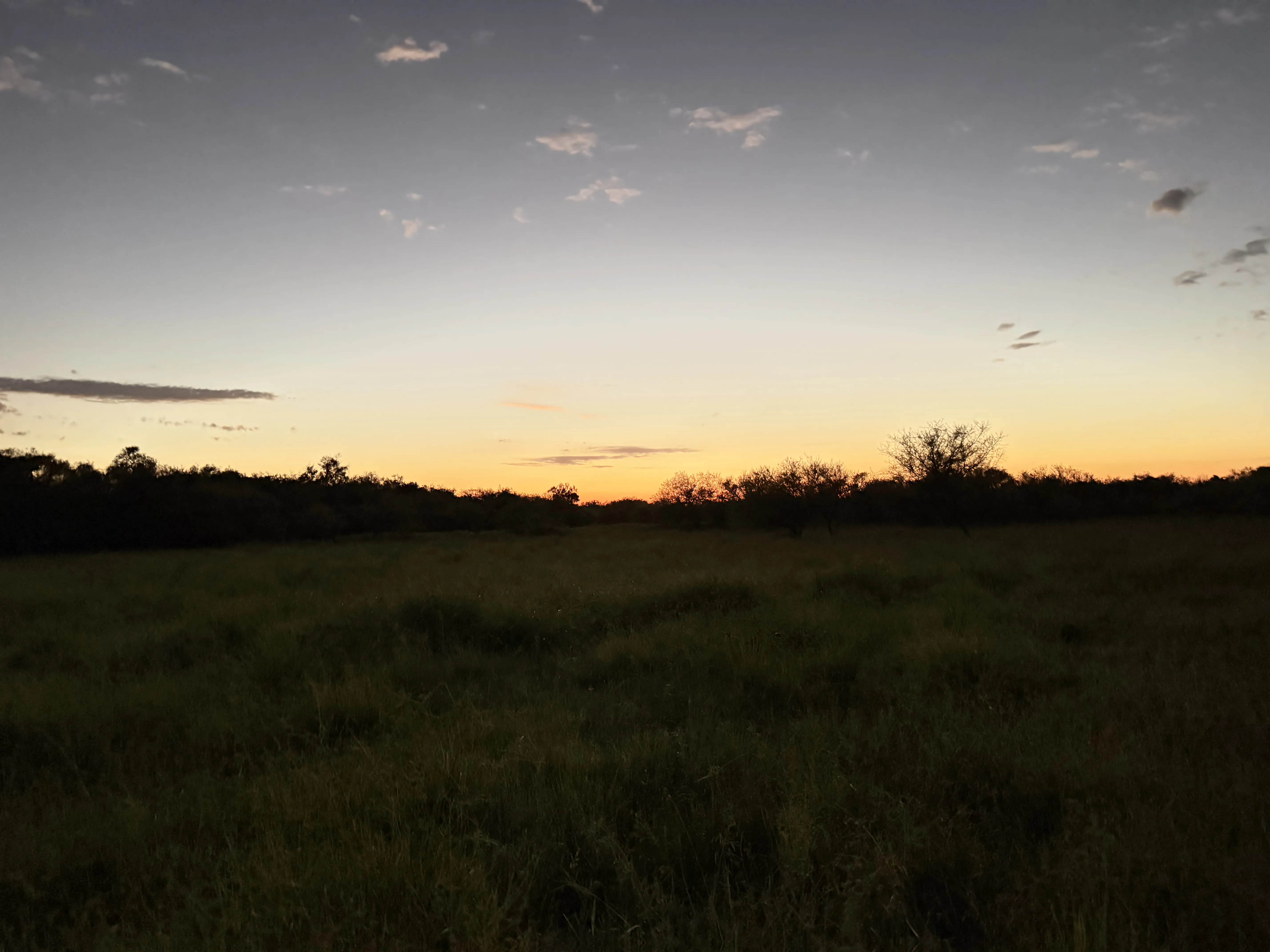 Vista del campo de caza desde la torre