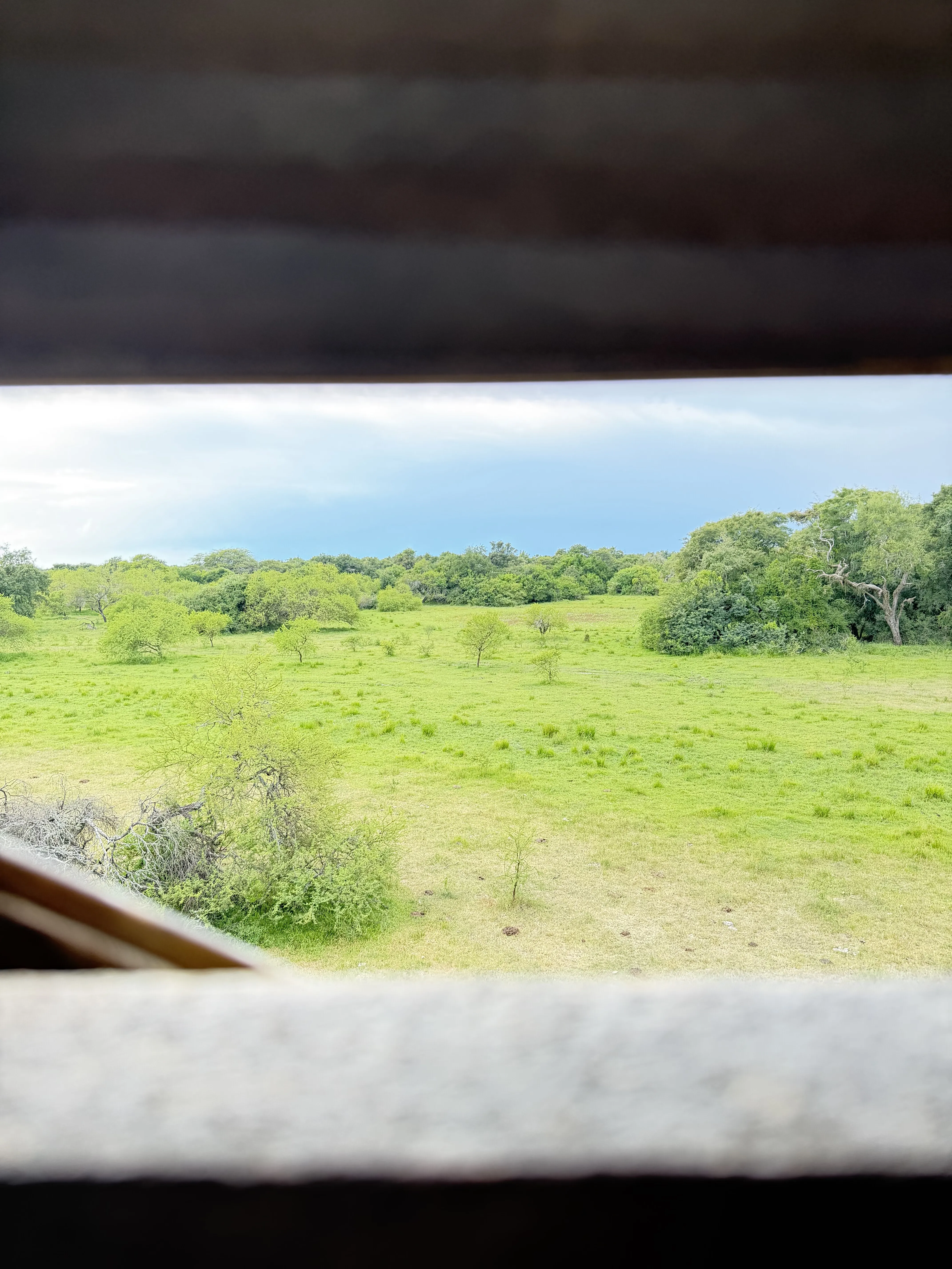 Río y campo de Corrientes al atardecer