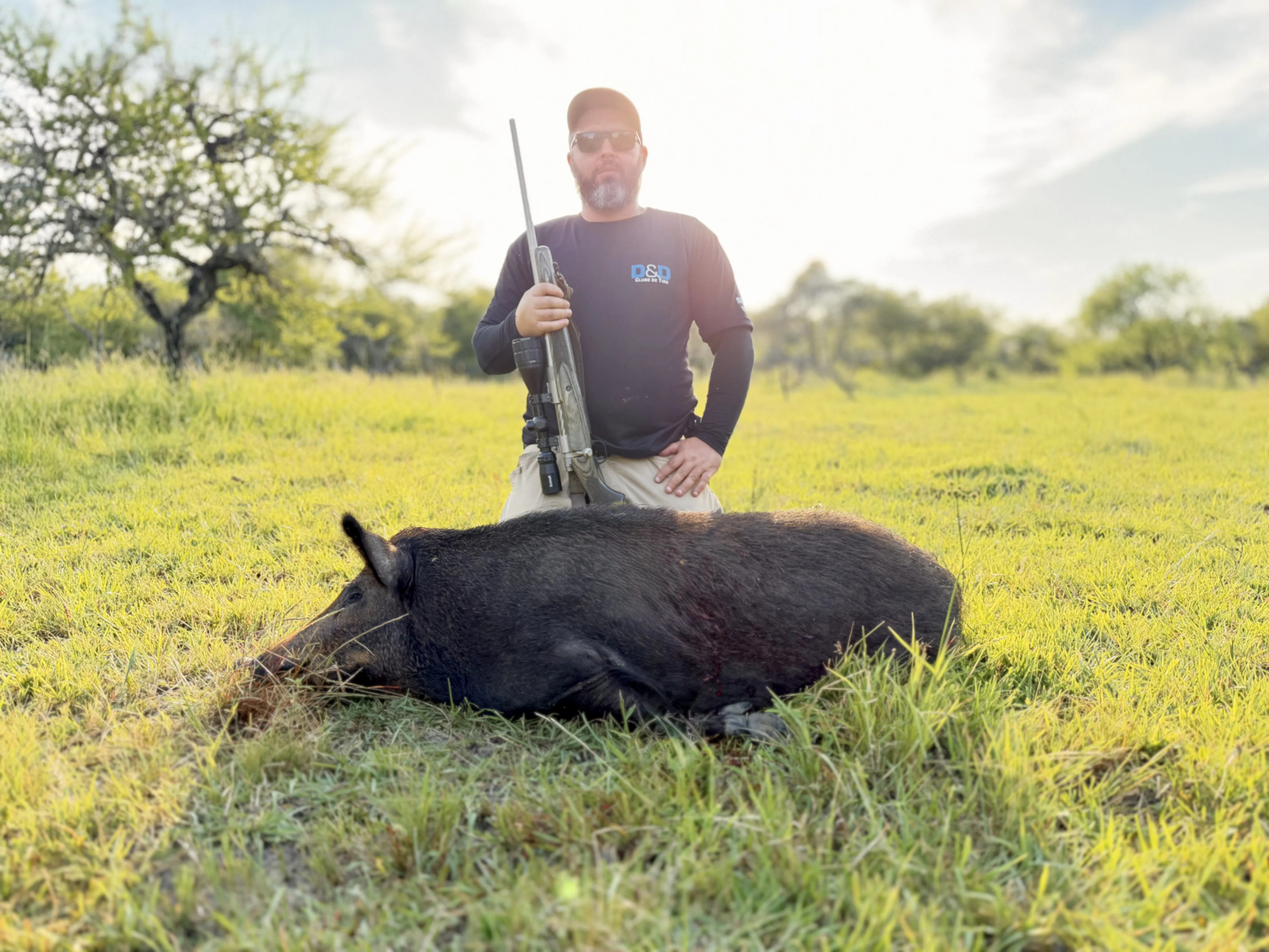 Jabalí silvestre típico de la región
