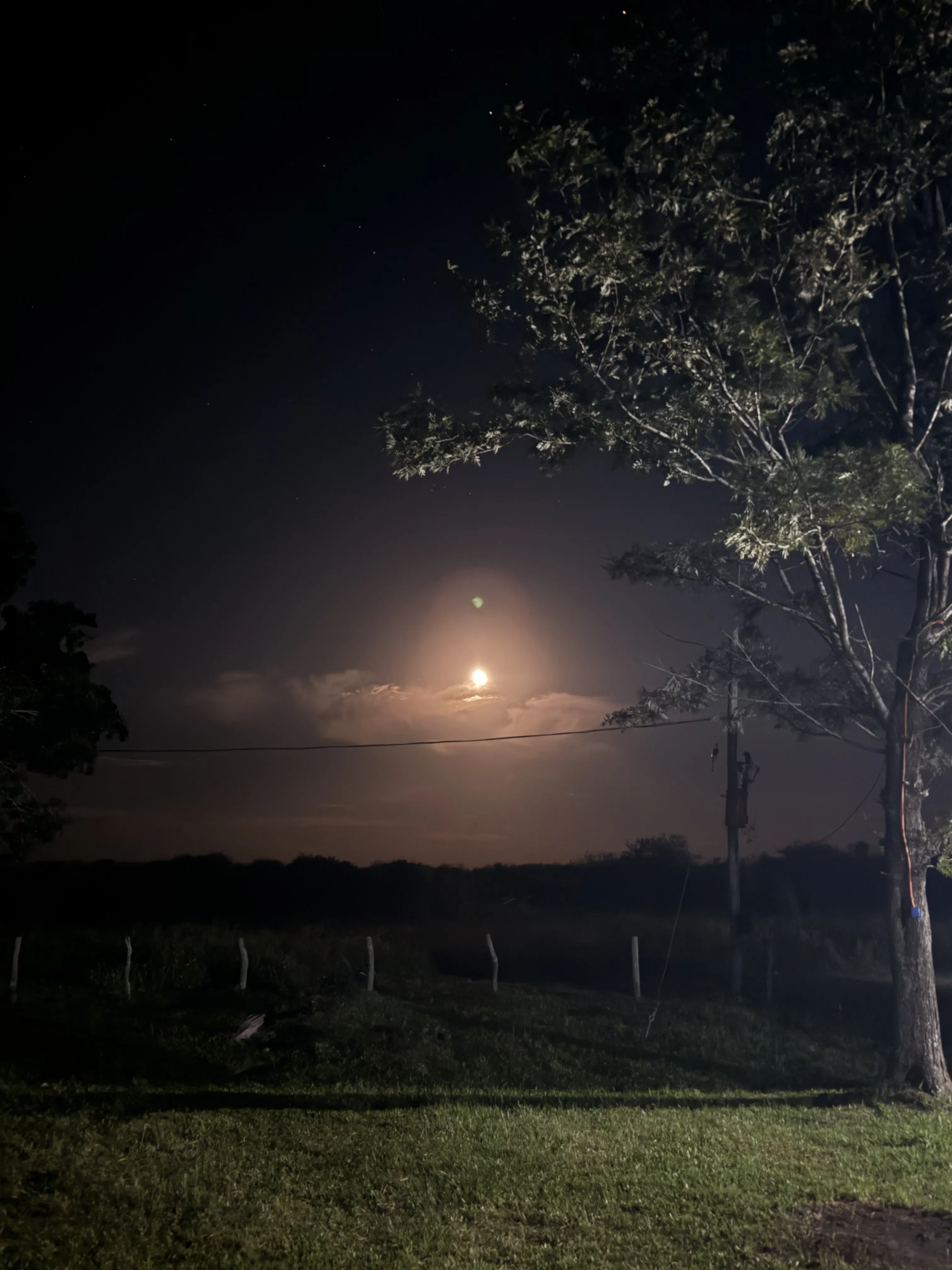 Noche de luna sobre el campo de La Alemania