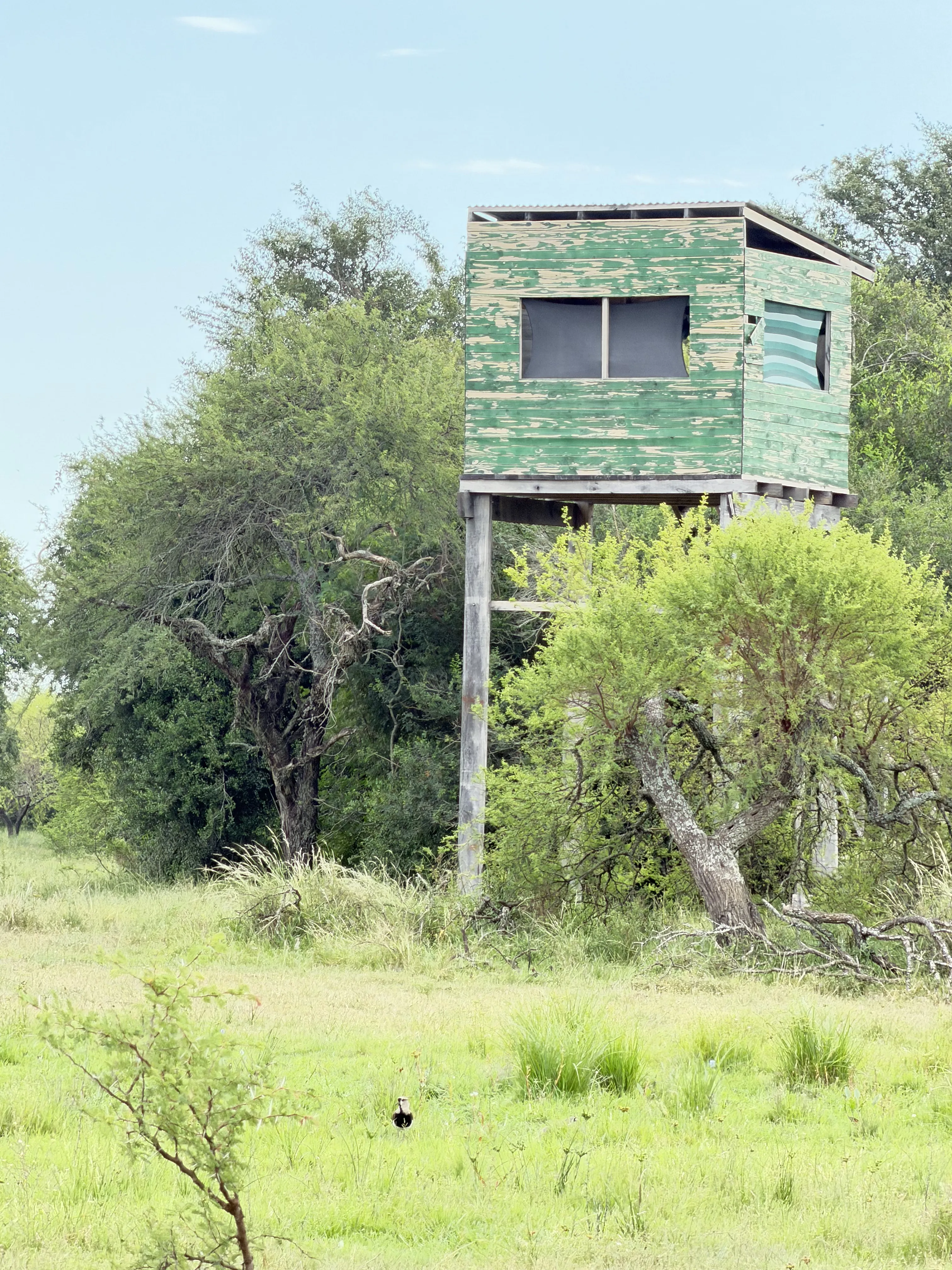 Torre de espera en medio del campo de Corrientes